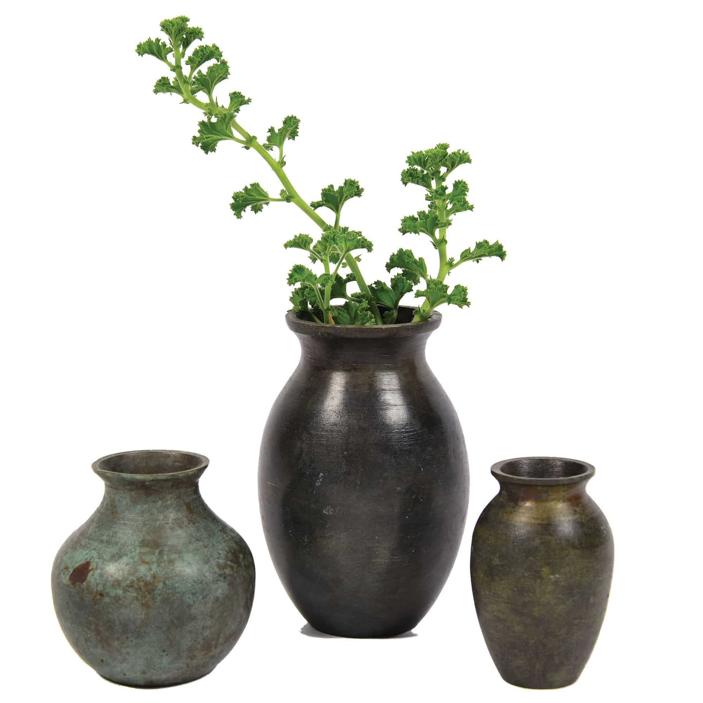 Three hand-cast bronze vases of different sizes with a plant on a white background