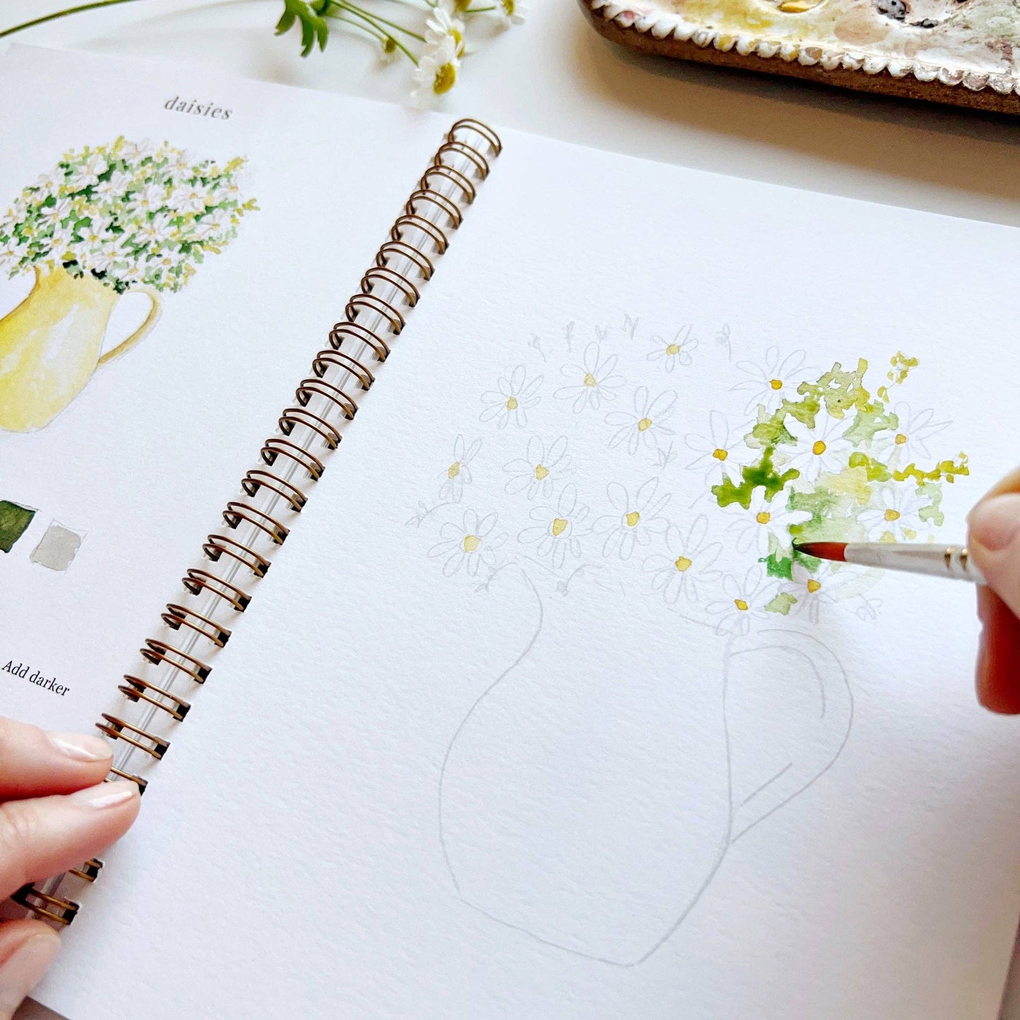A flowers watercolor workbook with step-by-step floral sketches, here with a close-up on the daisies page, with someone painting with a brush