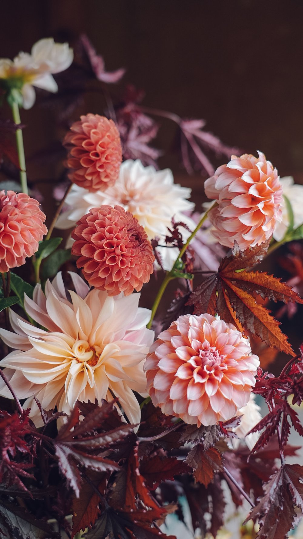 Dream Garden Bundle