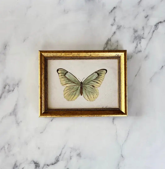 Butterfly - Framed Art Print