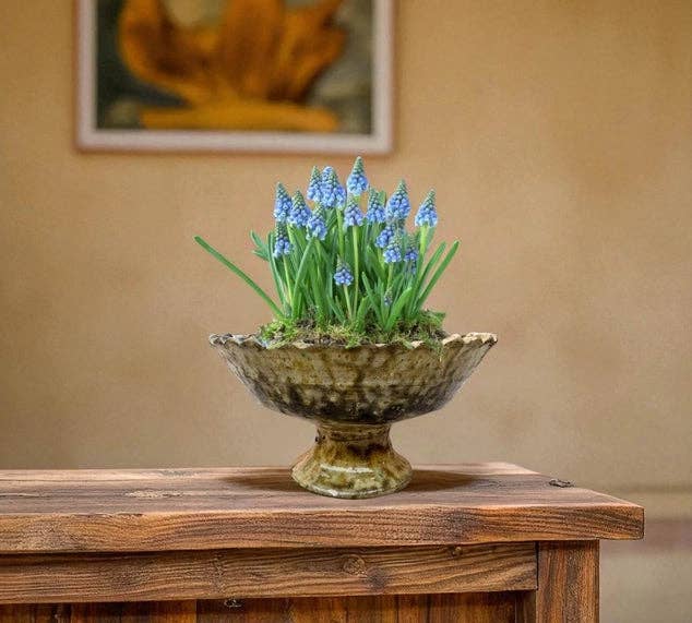 Tamegroute Fruit Bowl or Planter – Handmade Moroccan Pottery