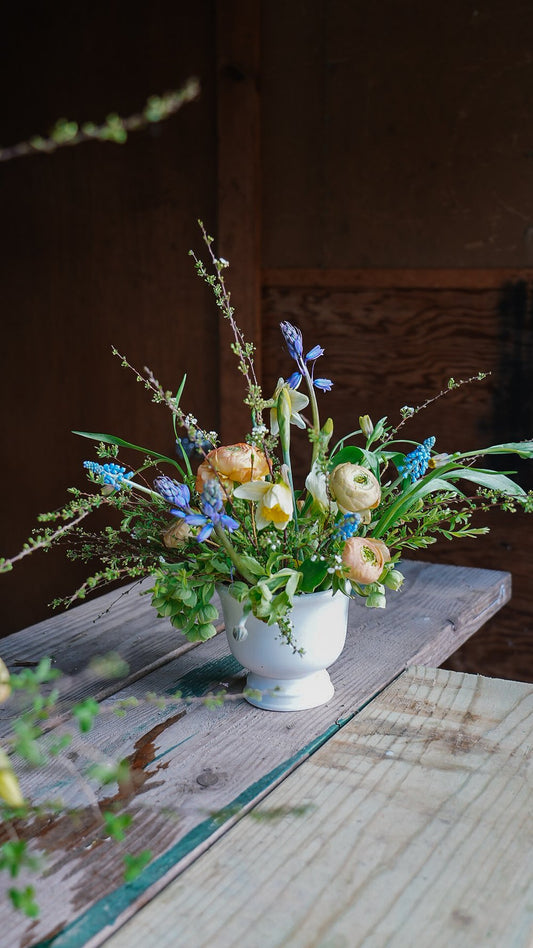 Dinner Centerpiece