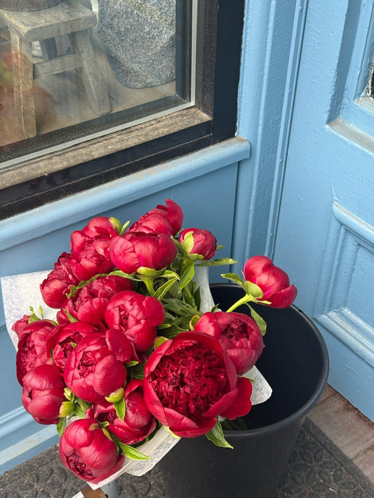 Peony Party