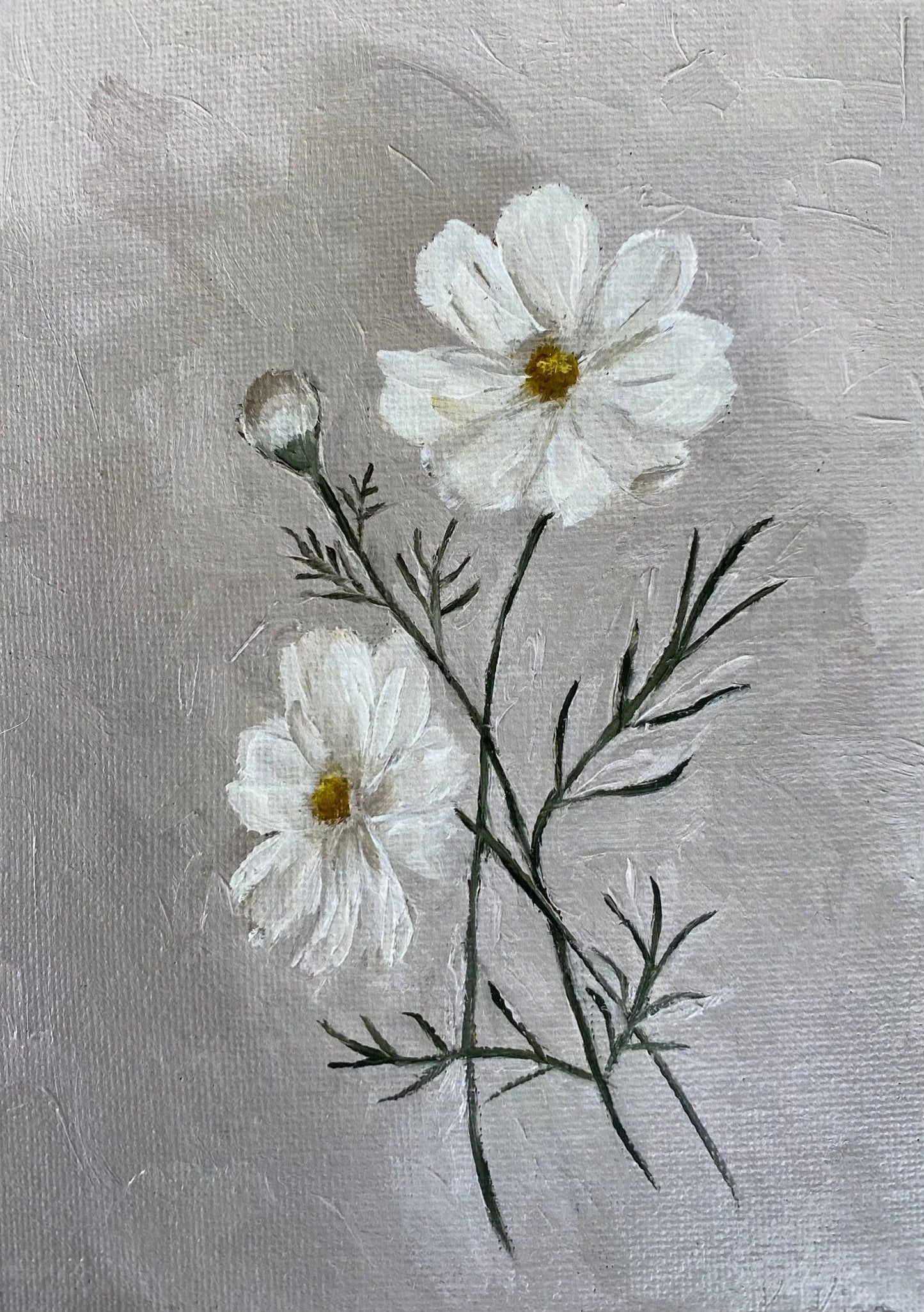 Cosmos - Art Print