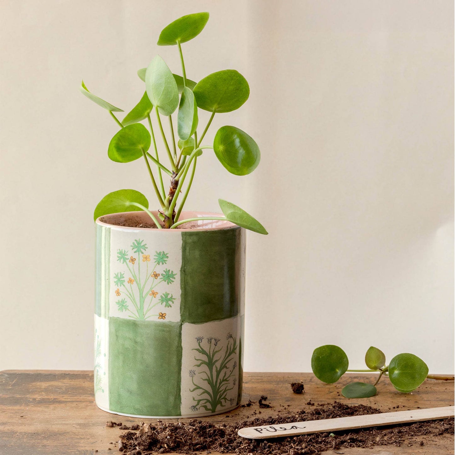 Everything Pot - 15th Illustrated Herbs