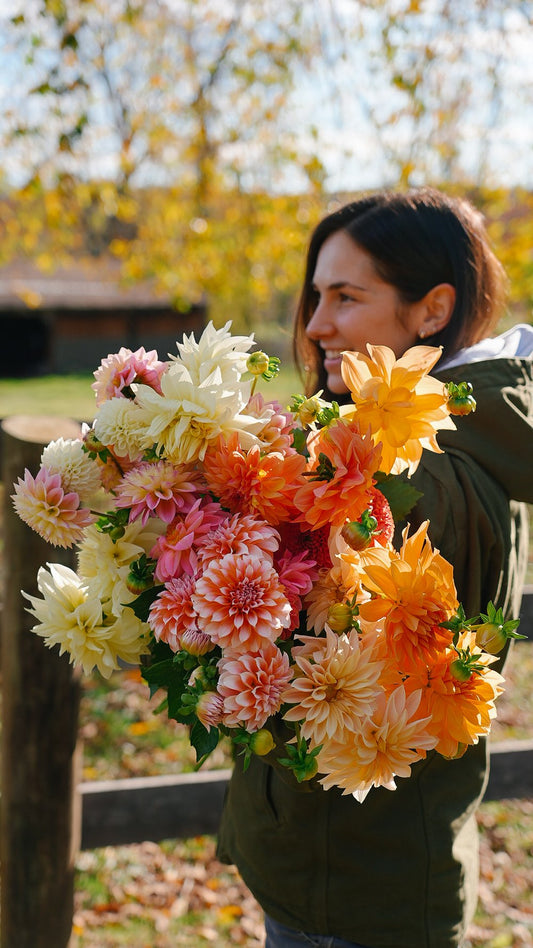 Dream Garden Bundle