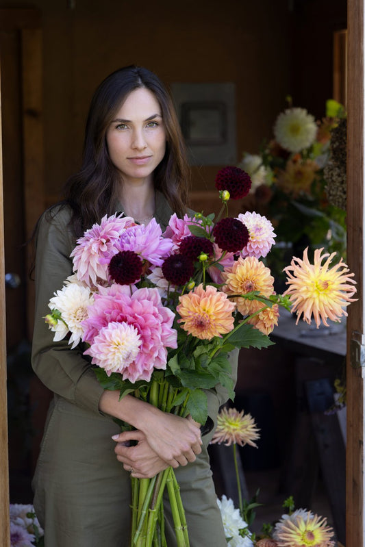 Dahlia CSA - A month of Dahlias