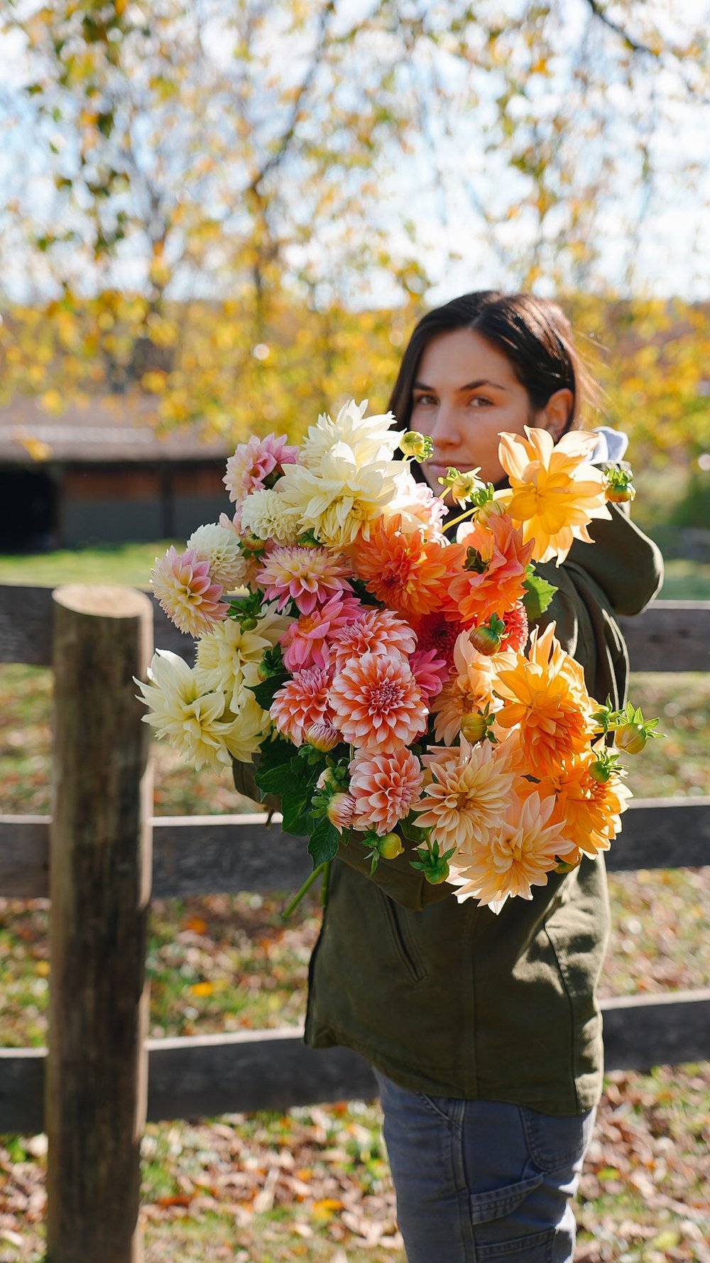 Dream Garden Bundle