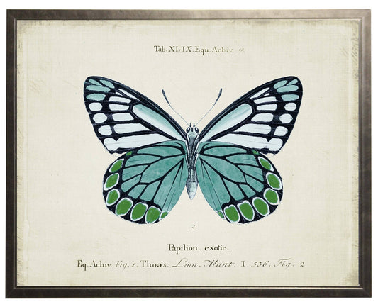 Solid Blue And Green Butterfly On Title Page