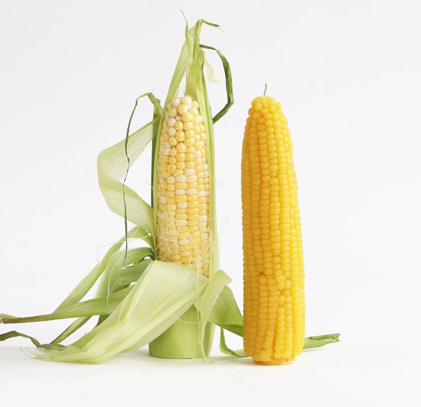 One ear of corn with green leaves and a handmade beeswax candle in form of a corn ear on a white background