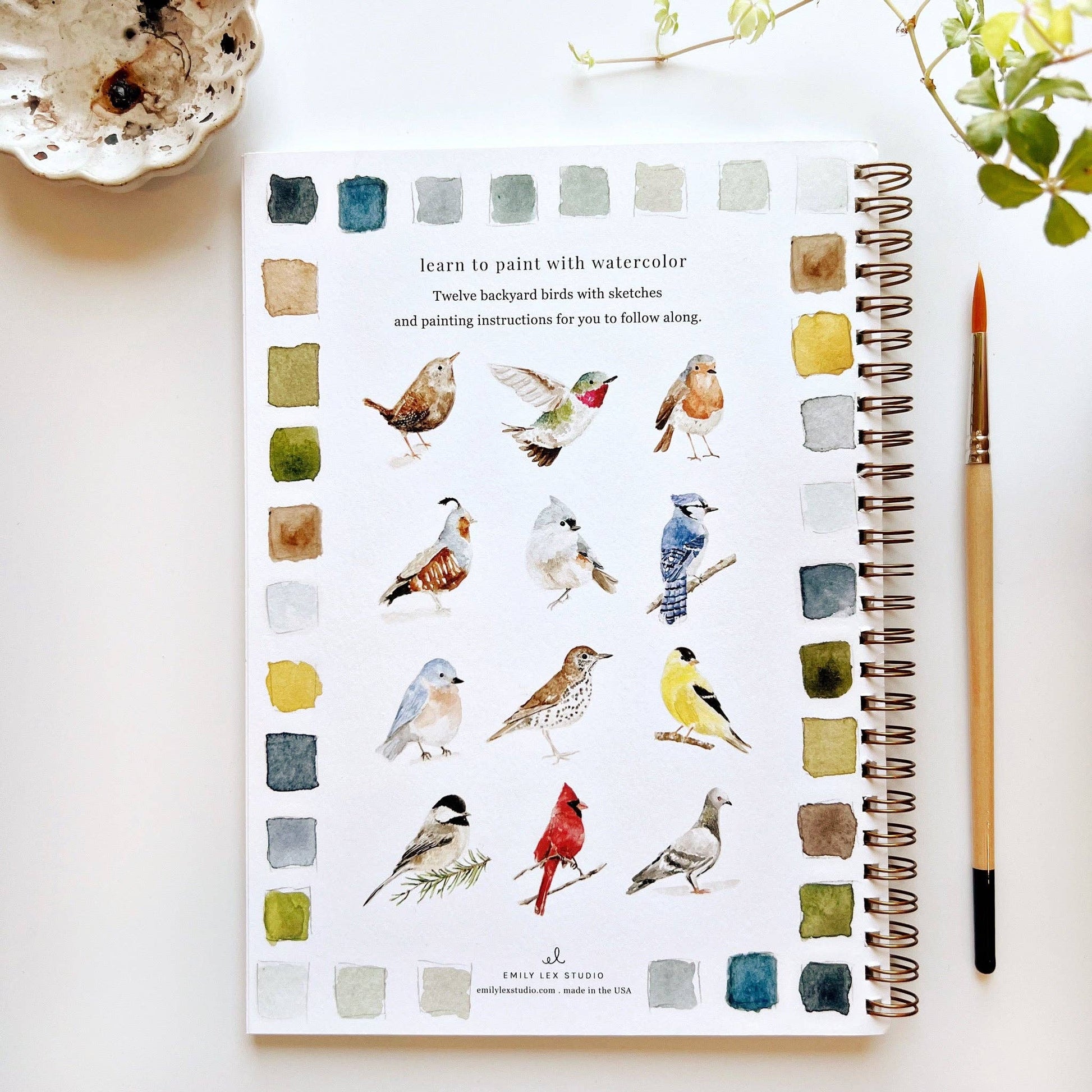 Birds Watercolor Workbook with birds illustrations, color swatches and spiral binding. A watercolor brush is lying next to the book.