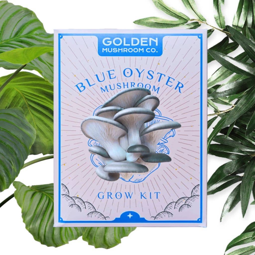 Packaging of Blue Oyster Mushroom Grow Kit with an illustration of mushrooms on it, surrounded by green leafy plants.