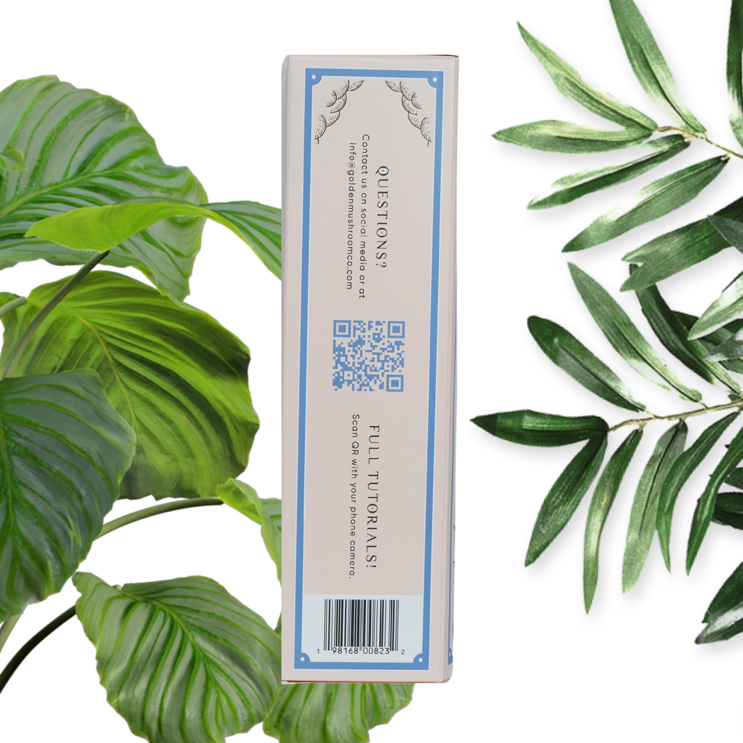 A Blue Oyster Mushroom Grow Kit packaging, seen from the side, with links and a QR code for questions and tutorials.