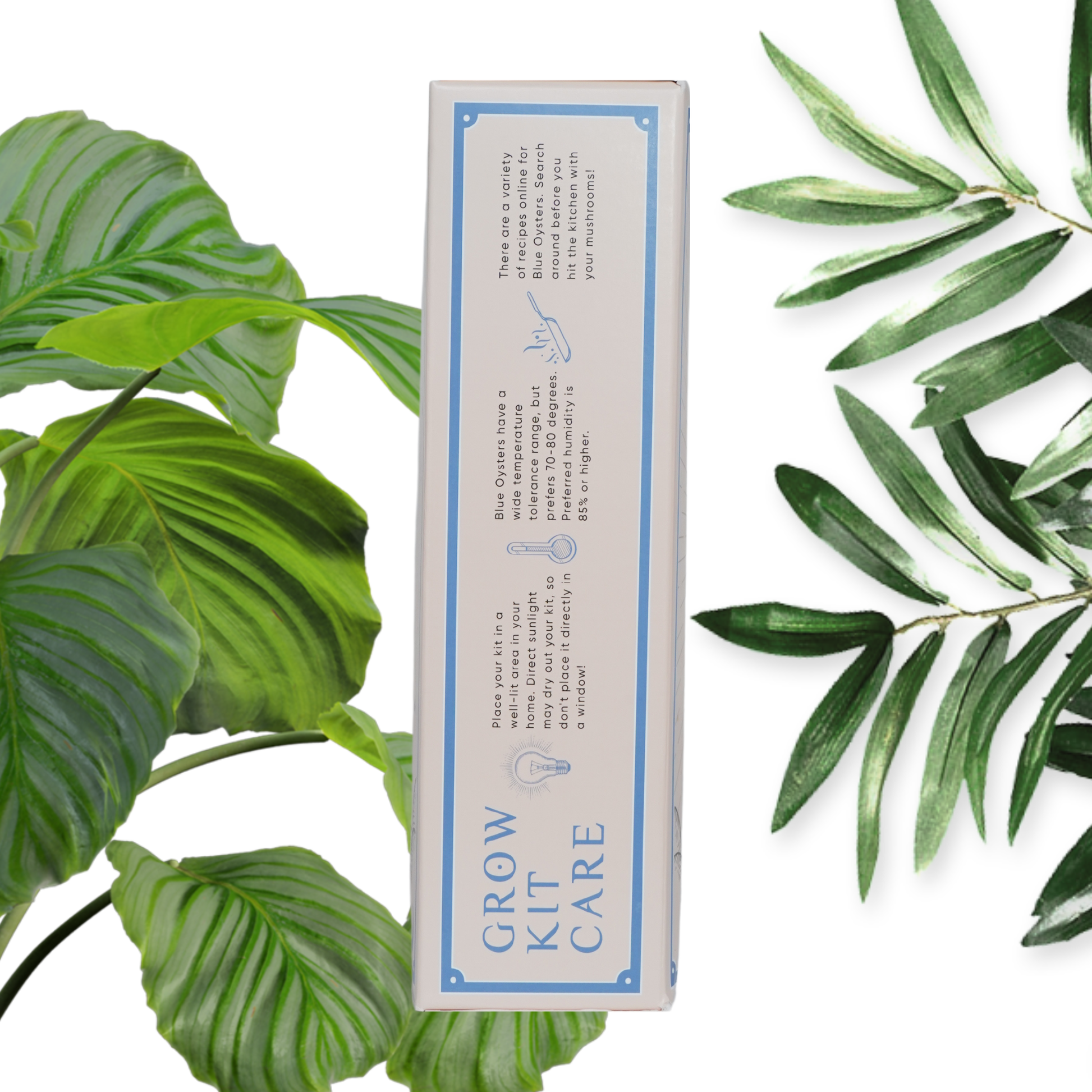 A Blue Oyster Mushroom Grow Kit packaging, seen from the side, with instructions on the ideal care: temperature, sun exposure etc.