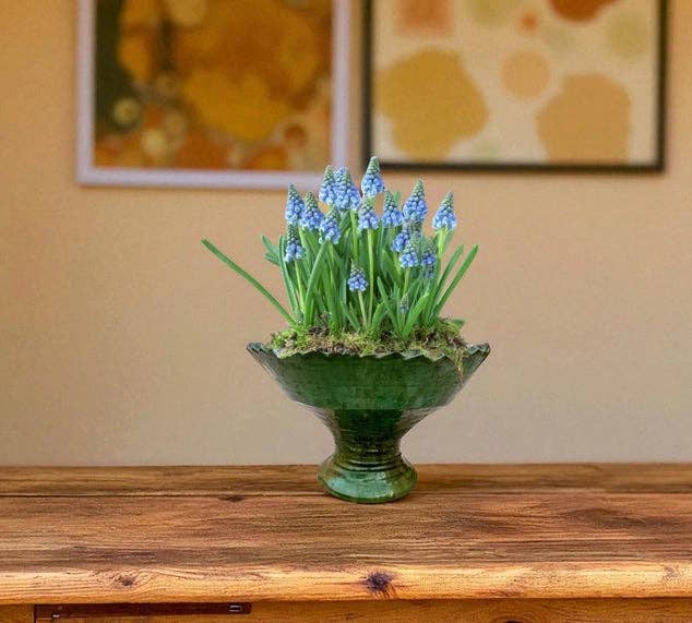 Tamegroute Fruit Bowl or Planter – Handmade Moroccan Pottery