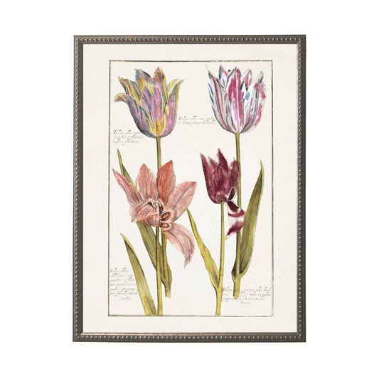 Vintage flower study C sketch watercolor