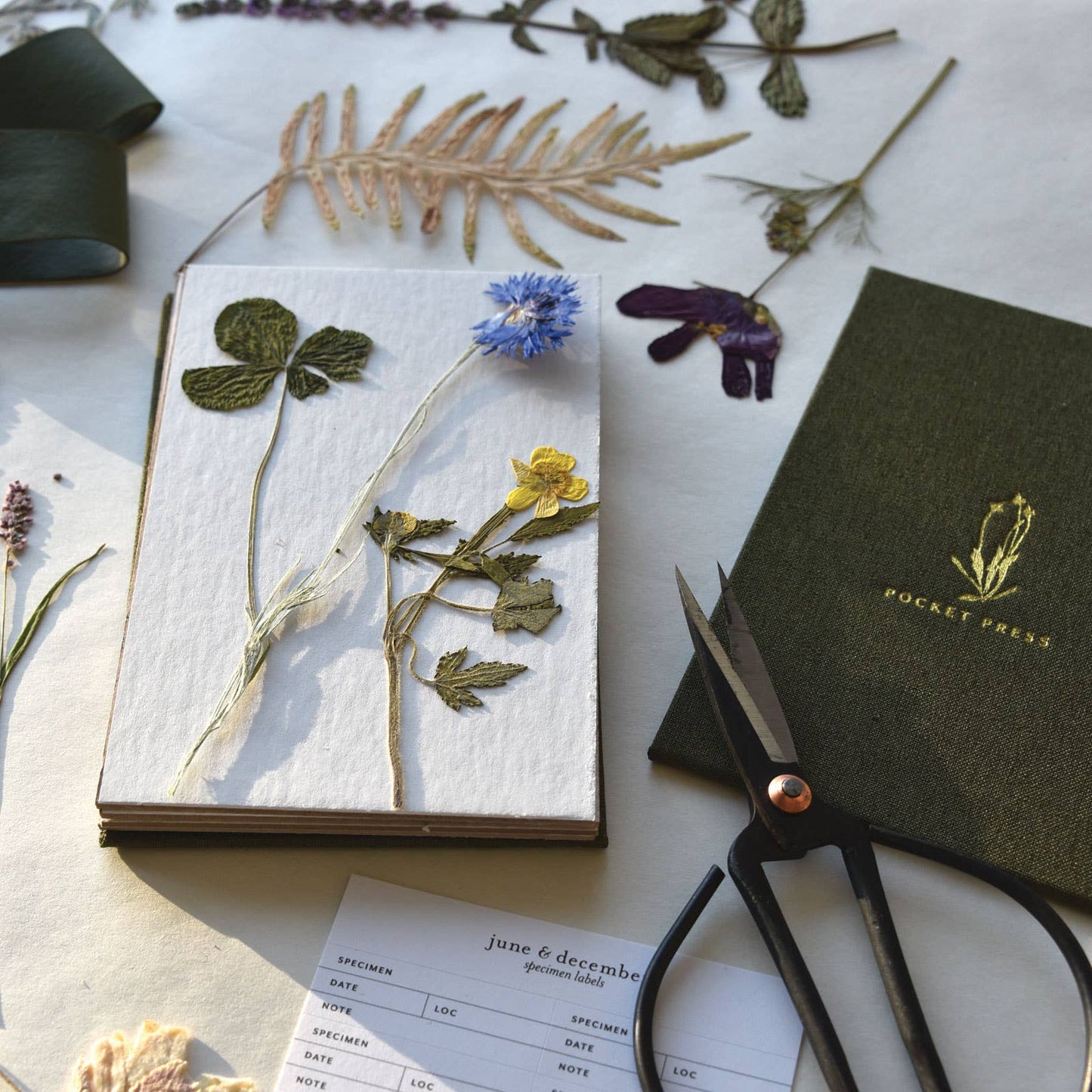 A green linen-covered field flower press with gold foil details, with pressed wildflowers and leaves.