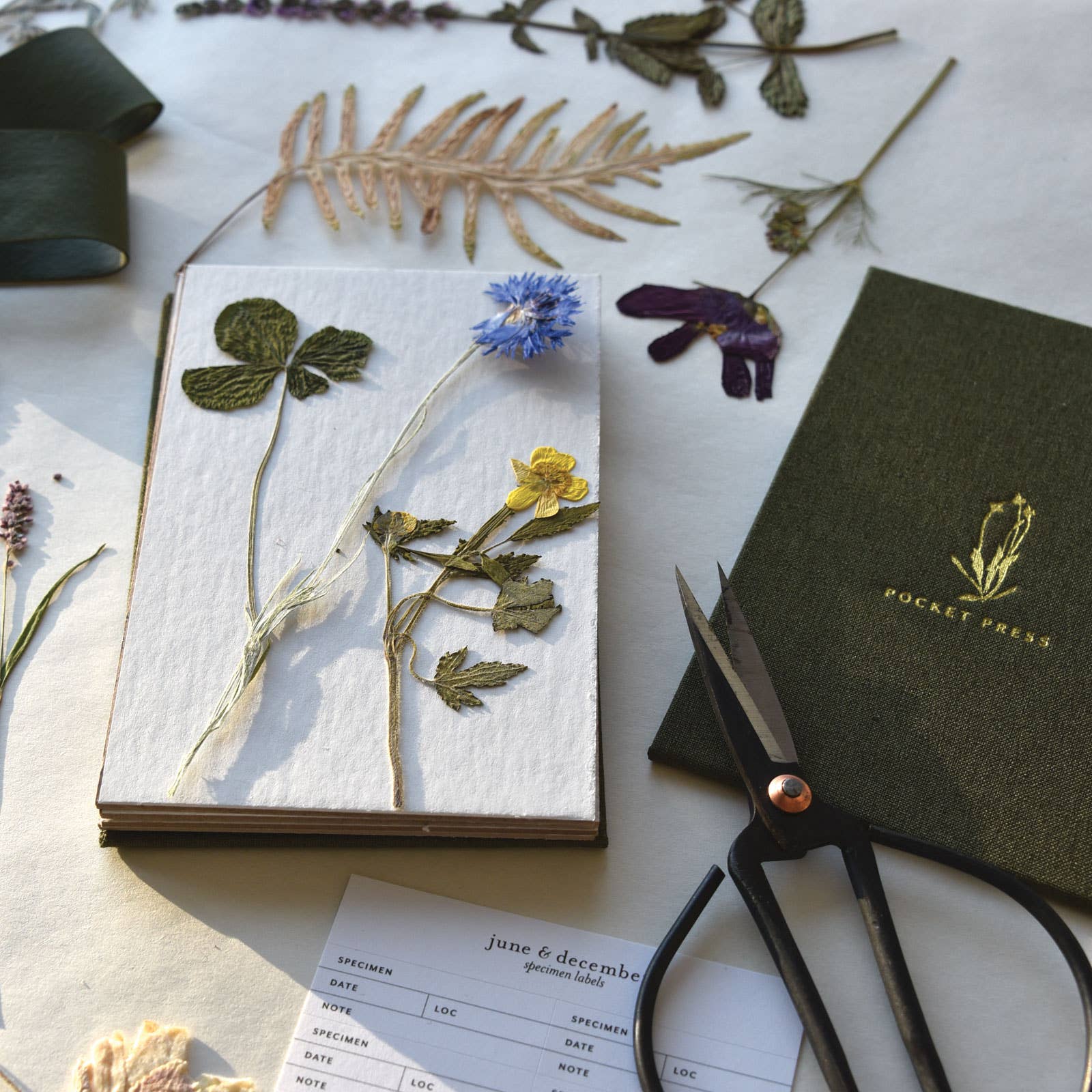 A green linen-covered field flower press with gold foil details, with pressed wildflowers and leaves.