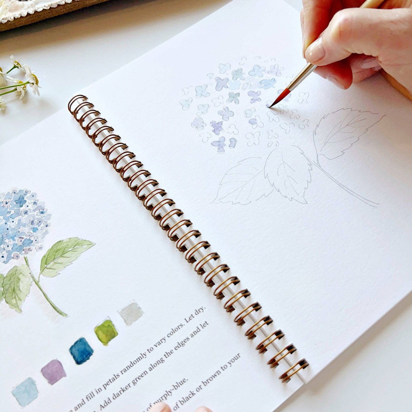 creative watercolor activity book with step-by-step floral sketches, here on the hydrangea page, with someone painting with a brush