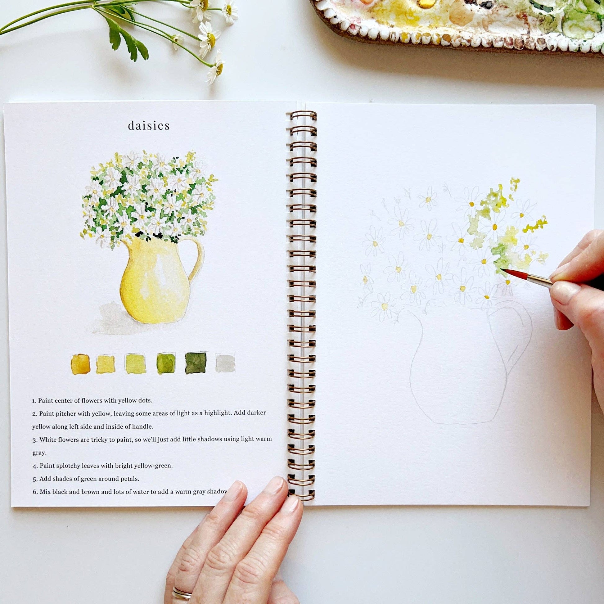 A flowers watercolor workbook with step-by-step floral sketches, here on the daisies page, with someone painting with a brush