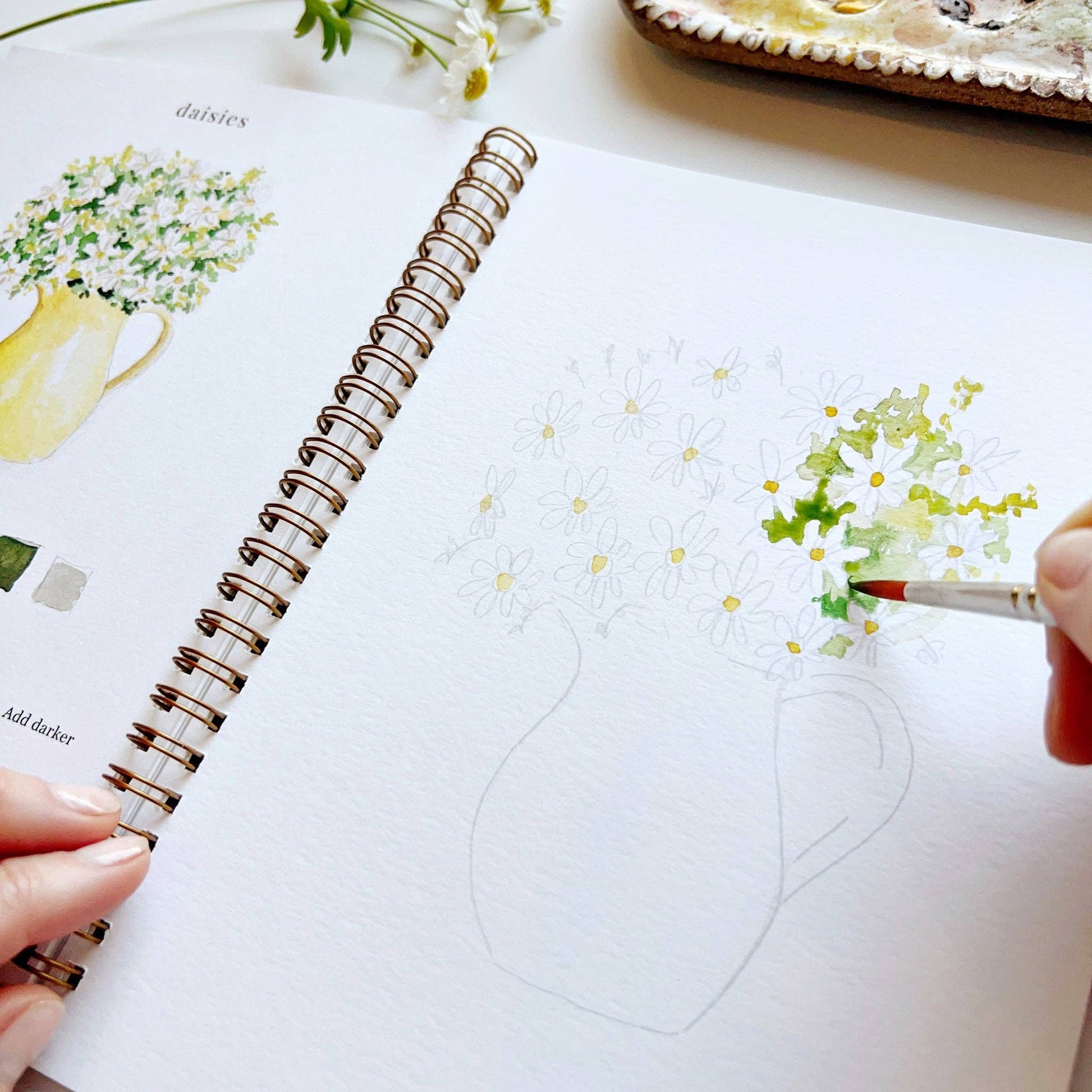 A flowers watercolor workbook with step-by-step floral sketches, here with a close-up on the daisies page, with someone painting with a brush