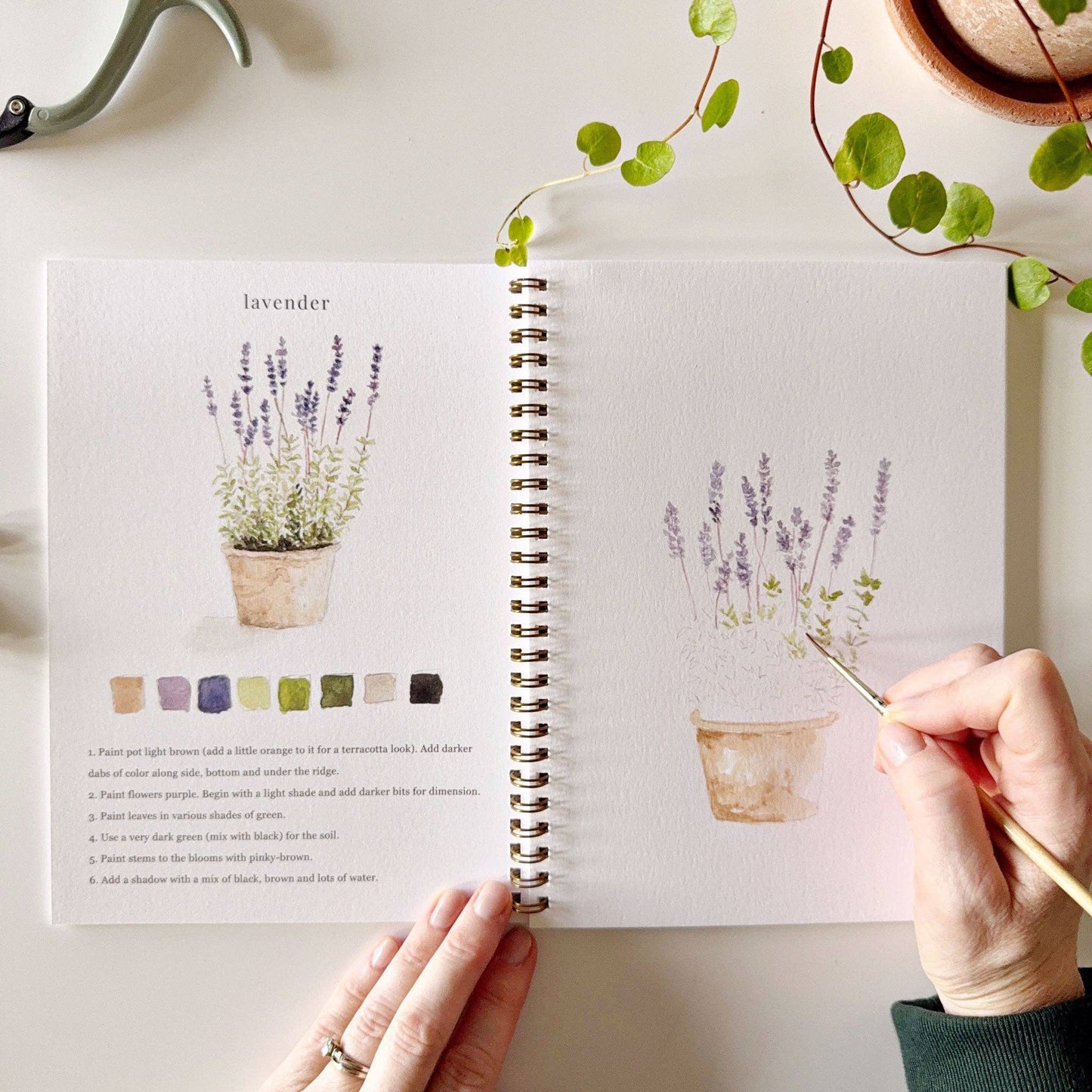 A garden watercolor workbook with step-by-step garden sketches, here on the lavender page, with someone painting with a brush