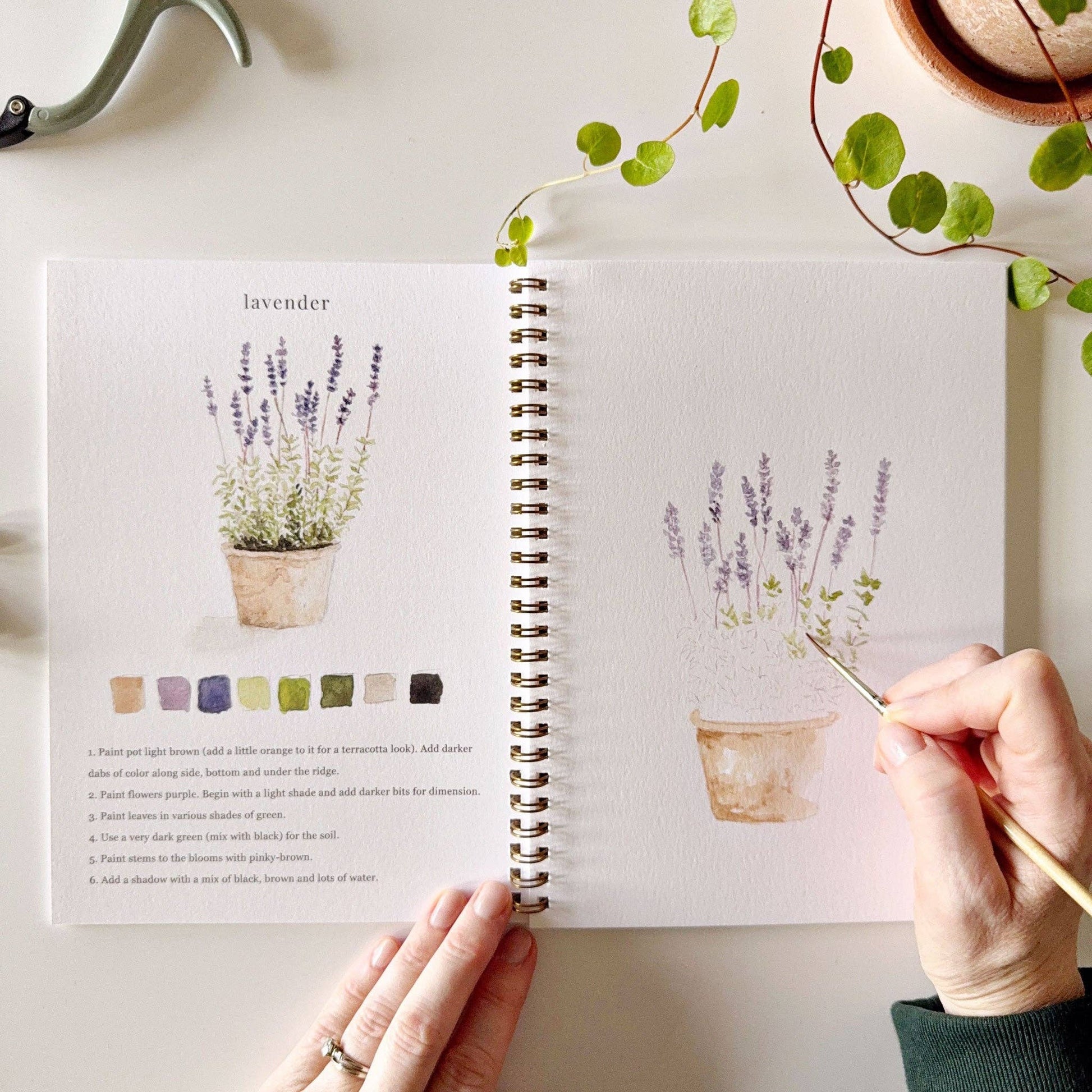 A garden watercolor workbook with step-by-step garden sketches, here on the lavender page, with someone painting with a brush