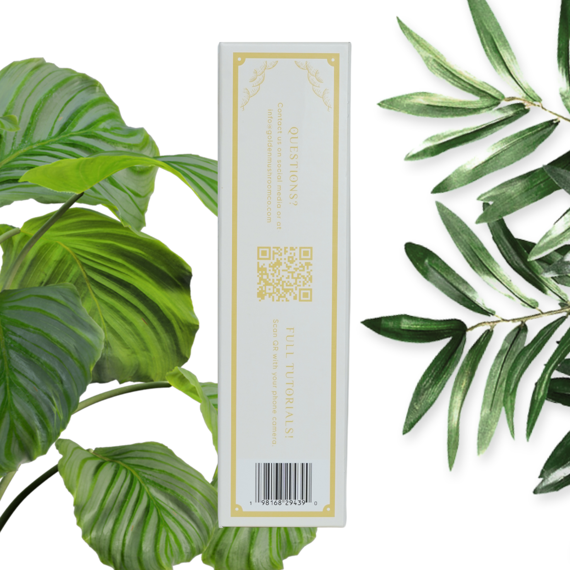 A Golden Oyster Mushroom Grow Kit packaging, seen from the side, with links and a QR code for questions and tutorials.