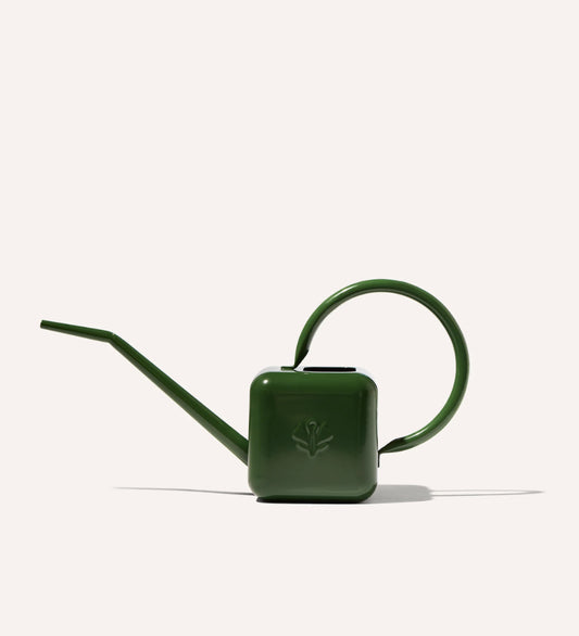 Elegant dark green stainless steel watering can on a white background