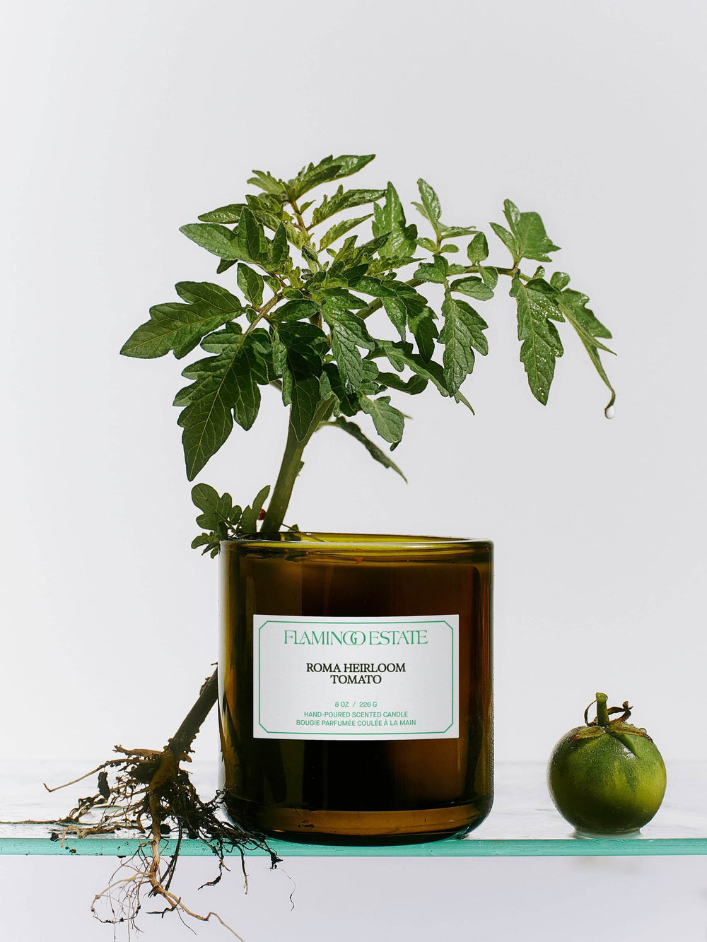 Candle with a tomato plant on a white background
