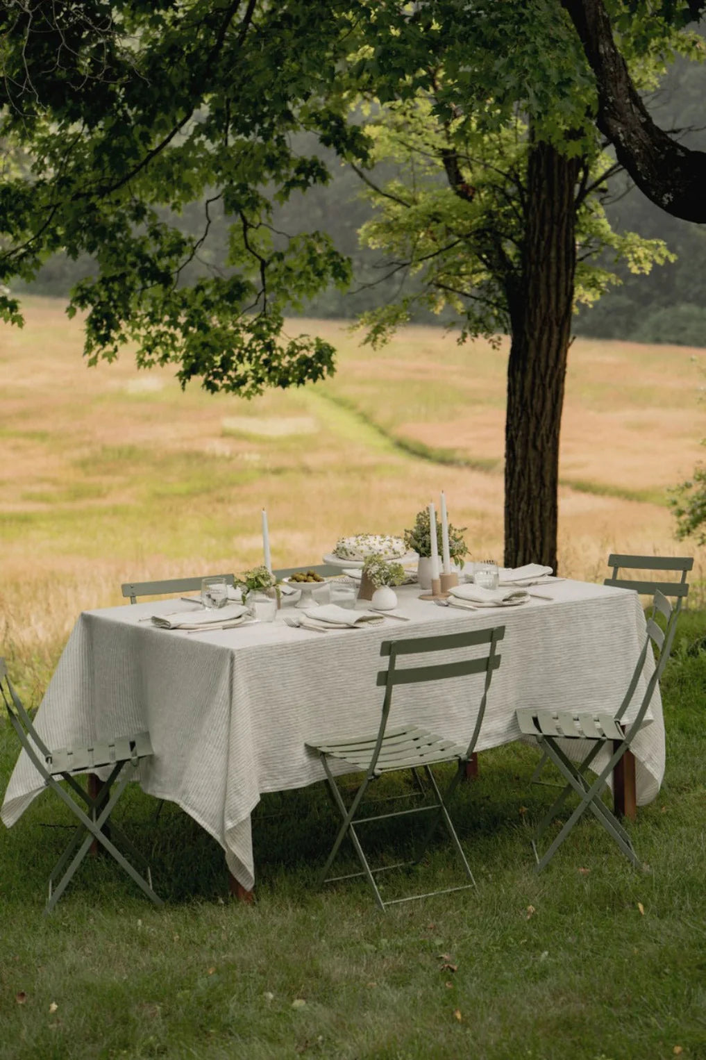 Dining table set with a linen tablecloth under a tree in a field