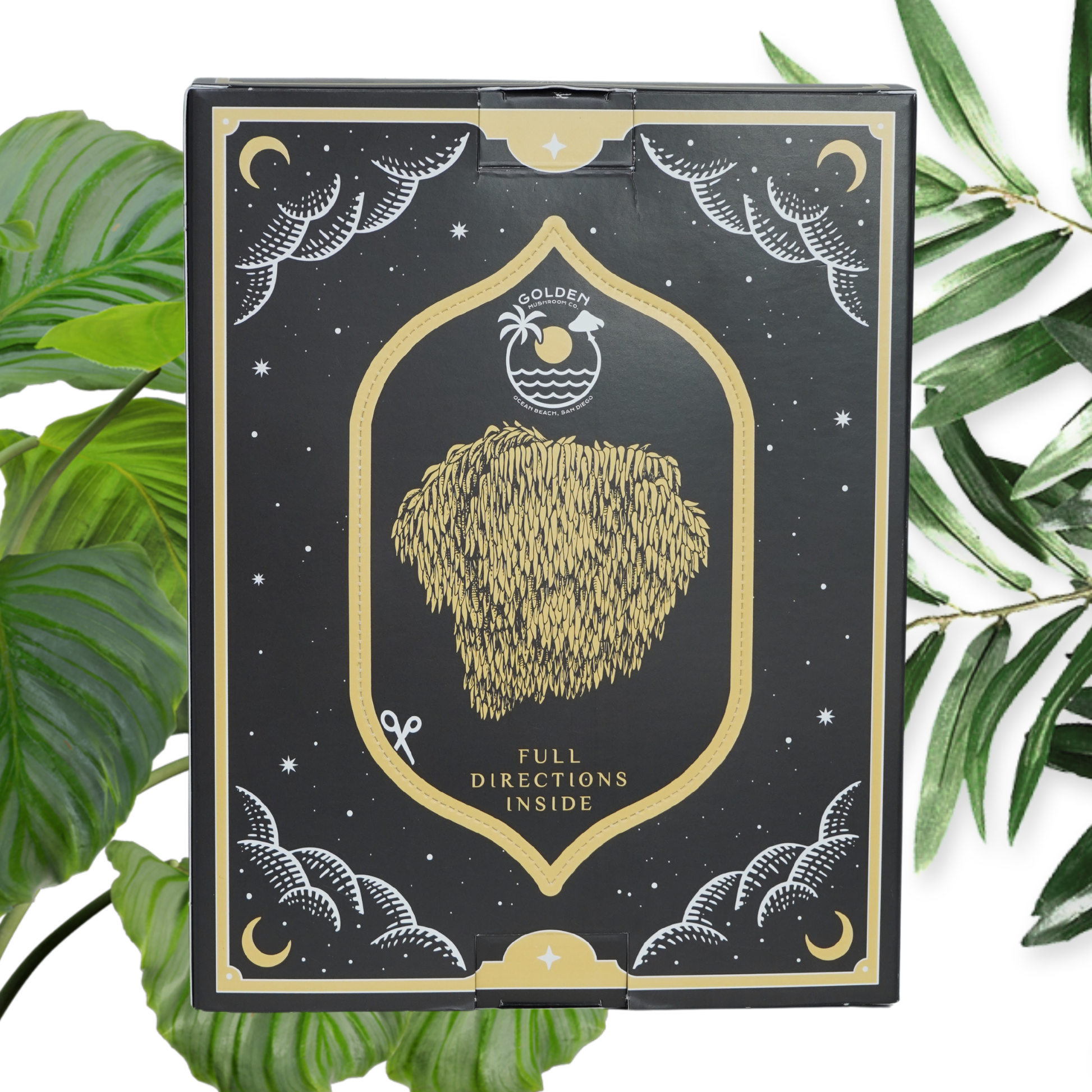 Lion's mane mushroom grow kit box, seen from the back, stating "full directions inside”