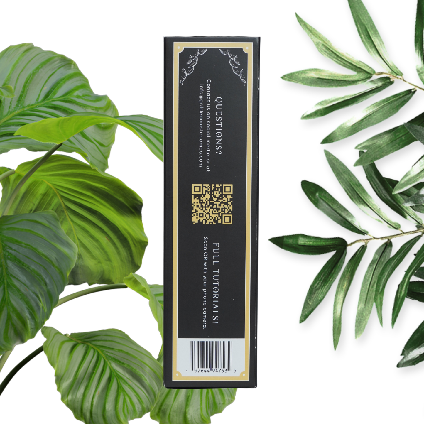 A Lion's Mane Mushroom Grow Kit packaging, seen from the side, with links and a QR code for questions and tutorials.