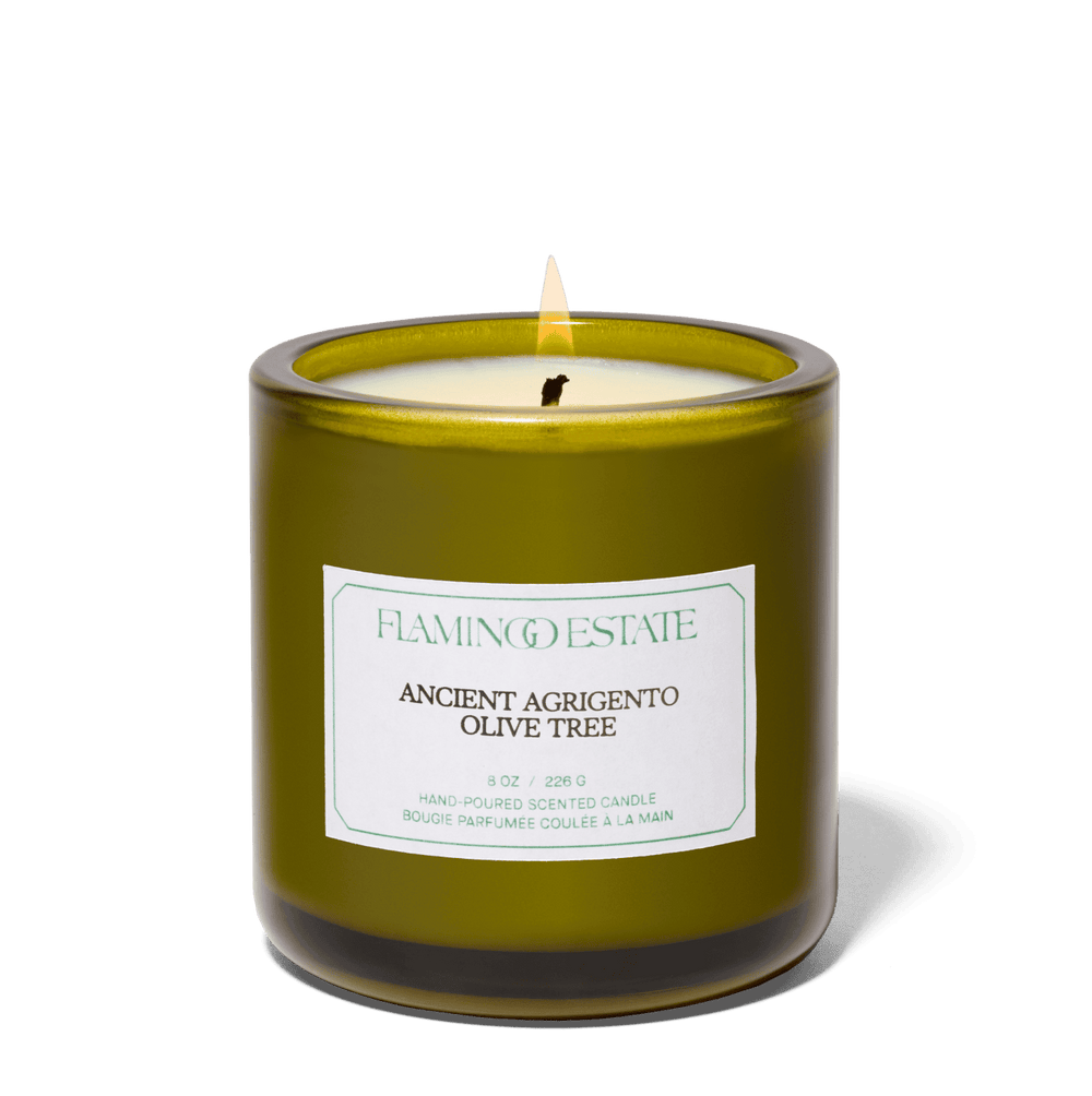 Olive Tree Candle in a green jar with a label on a white background