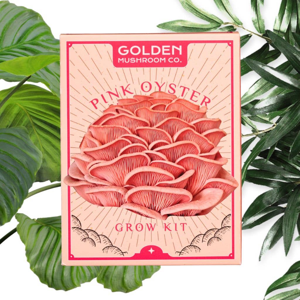 A Pink Oyster Mushroom Grow Kit packaging with an illustration of the mushrooms on the front, surrounded by green leafy elements.