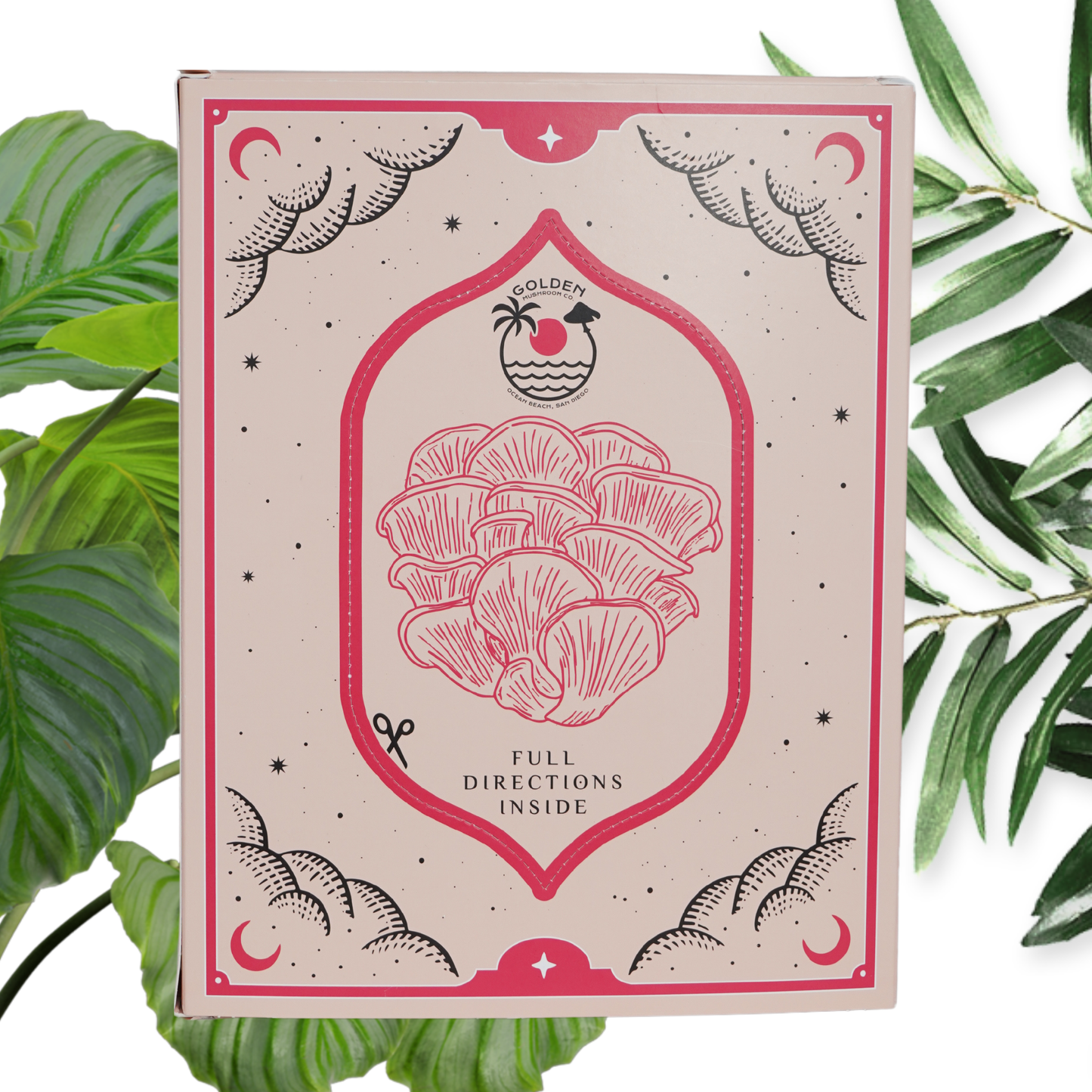 Pink oyster mushroom grow kit box, seen from the back, stating "full directions inside"