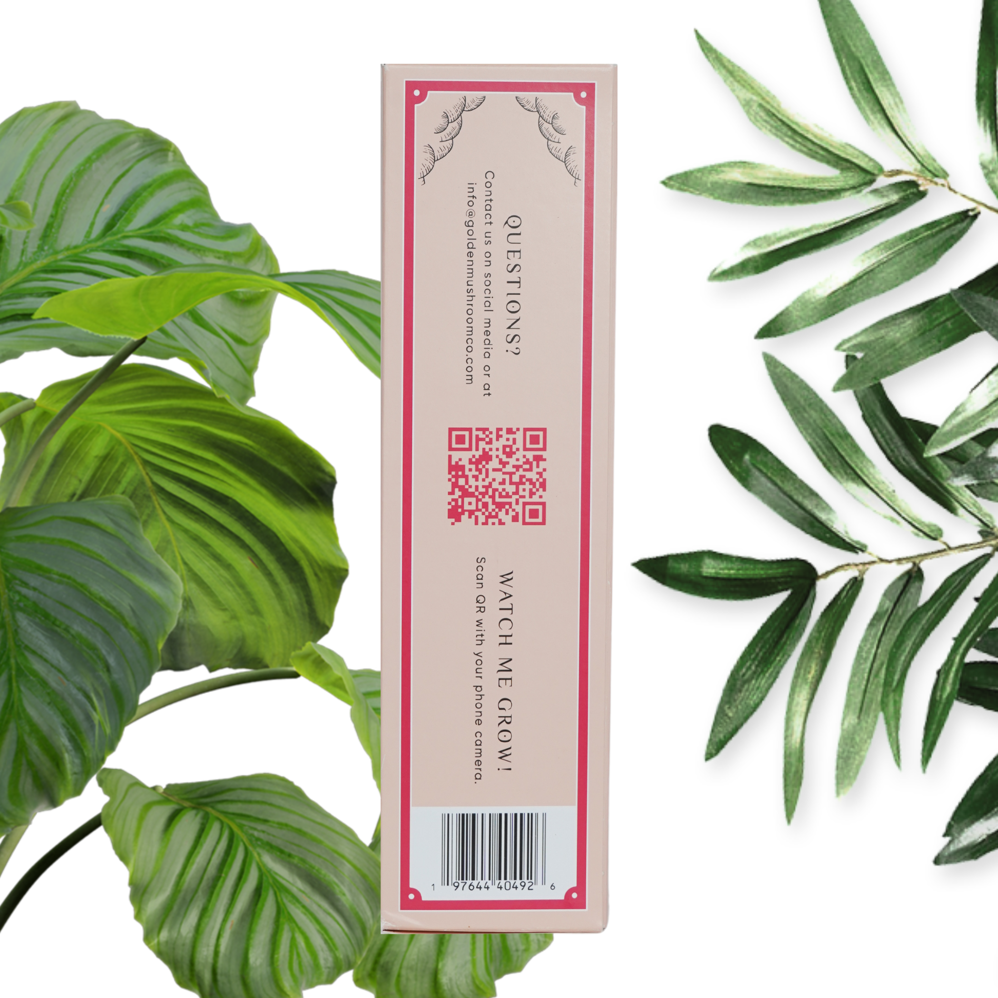A Pink Oyster Mushroom Grow Kit packaging, seen from the side.