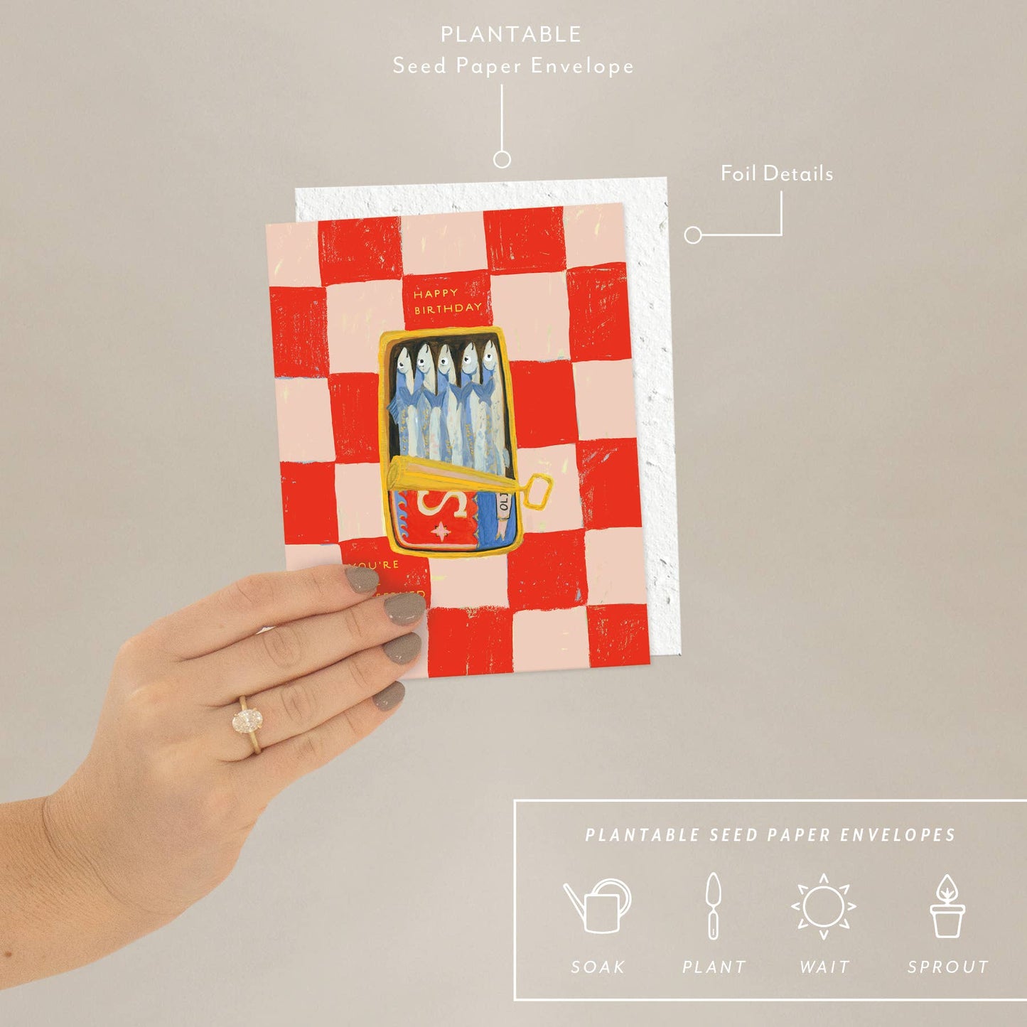 A hand holding a birthday card with a red and white checkered background featuring a cartoon illustration of sardines, accompanied by a plantable seed paper envelope with eco-friendly packaging details.