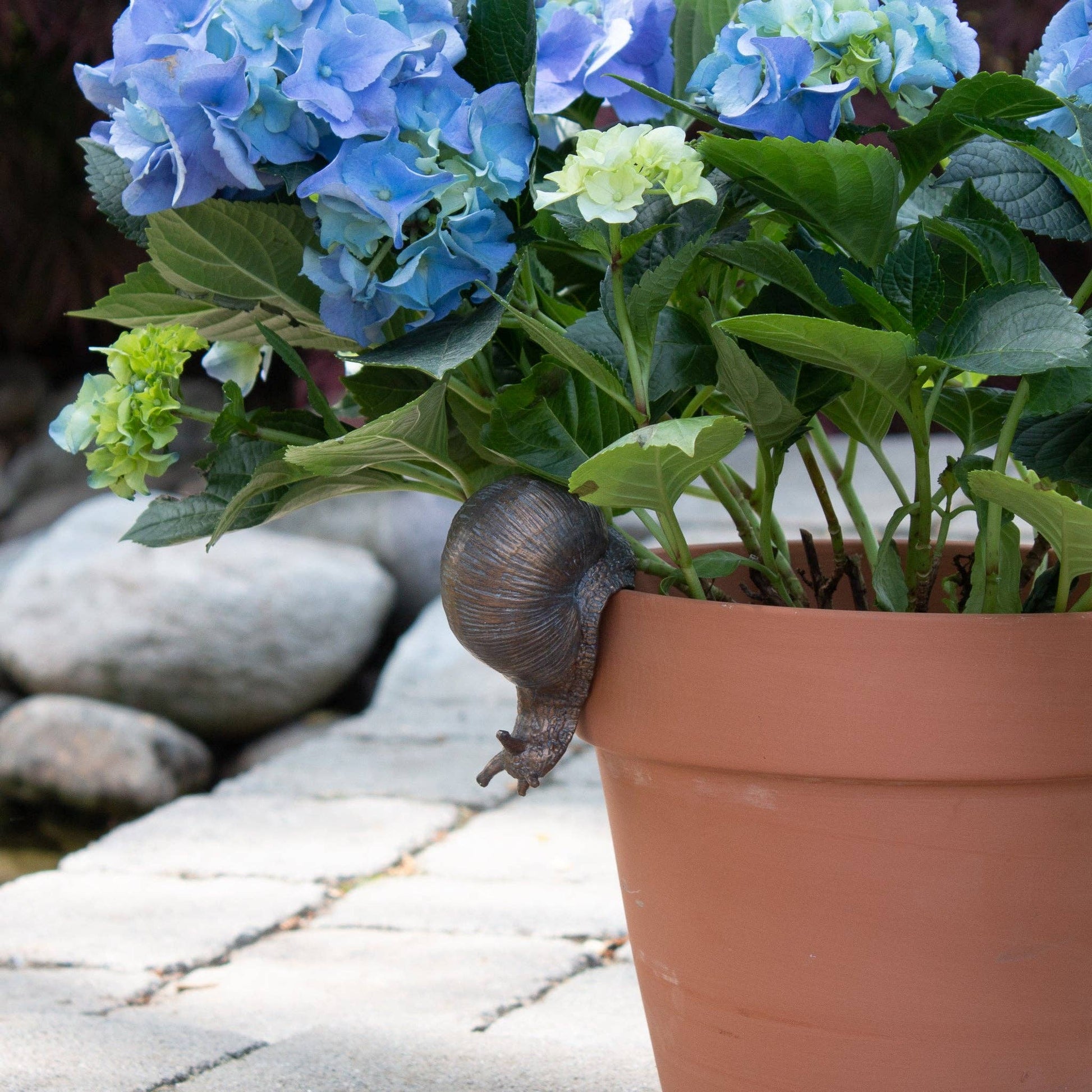 Cute snail pot accessory placed on the edge of a terracotta pot filled with flowers.