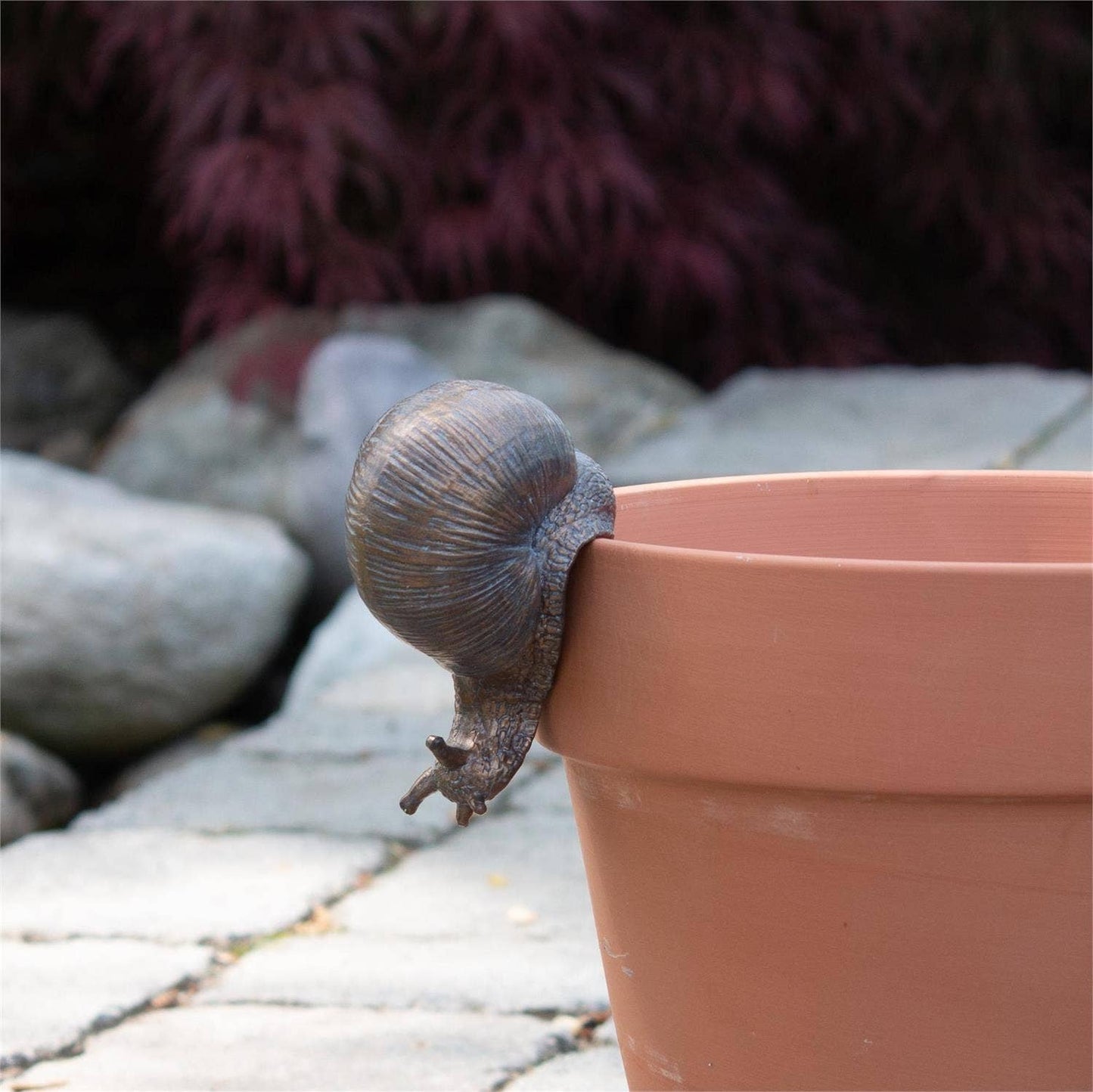 Close-up of snail pot hugger on a terracotta pot
