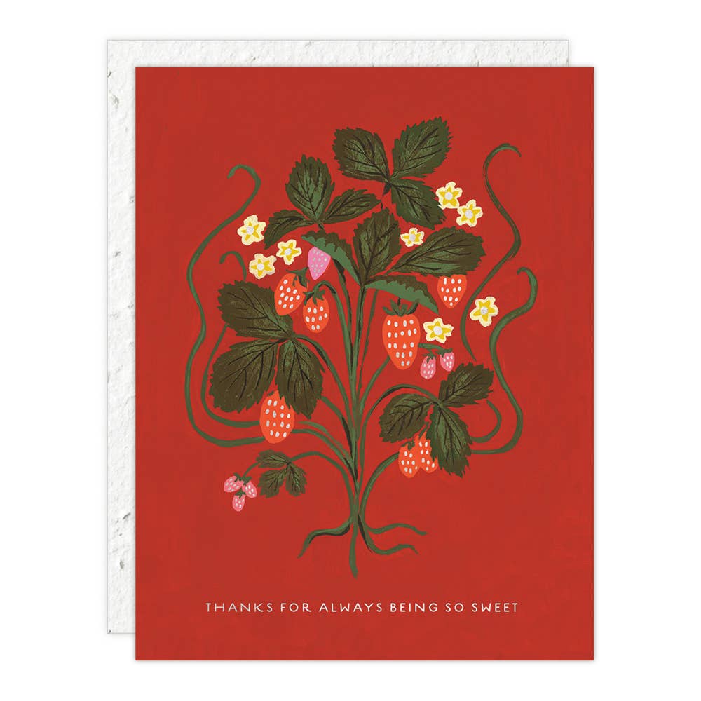 A red thank you card with a green and white strawberry plant illustration, accompanied by a plantable seed paper envelope with eco-friendly packaging details.