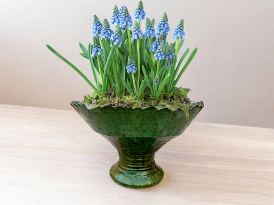 A ceramic planter with green glaze handmade in Morocco and containing flowers.