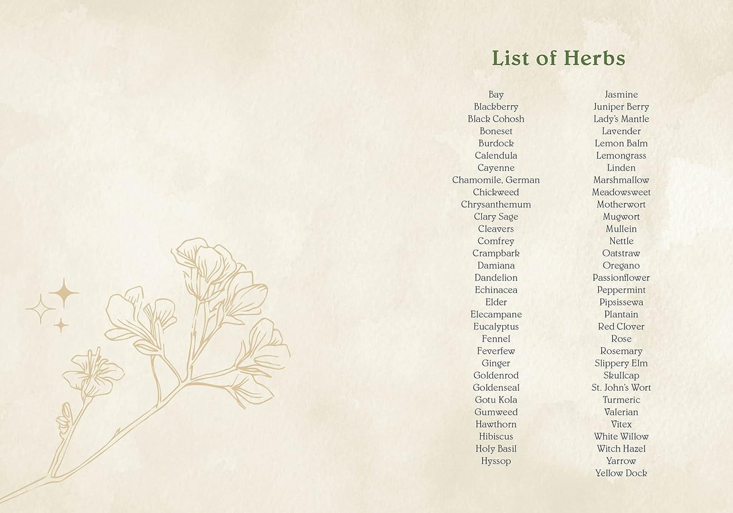 List of herbs with botanical illustrations on a beige background