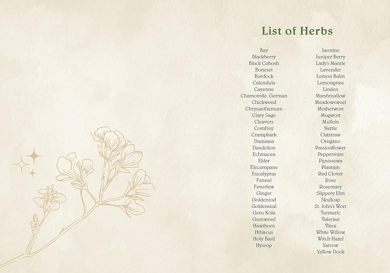 List of herbs with botanical illustrations on a beige background