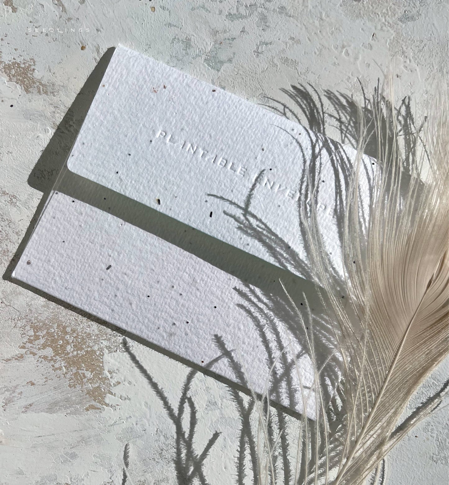 Eco-friendly plantable seed paper envelope with 'Plantable' text on a textured surface with a feather.